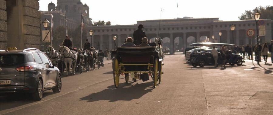 Vienna: Private Walking Tour to The Hofburg & Graben Street - Key things you should notice on this Hofburg and Graben tour