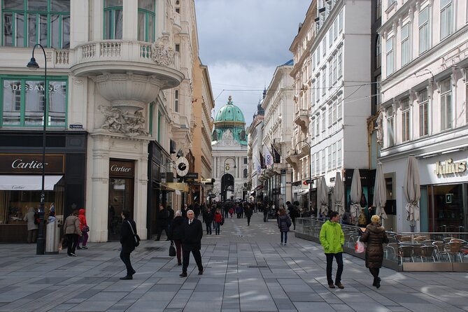 Vienna Private Walking Tour With A Professional Guide - A Two-Hour Vienna Bearings Walk, Done Privately
