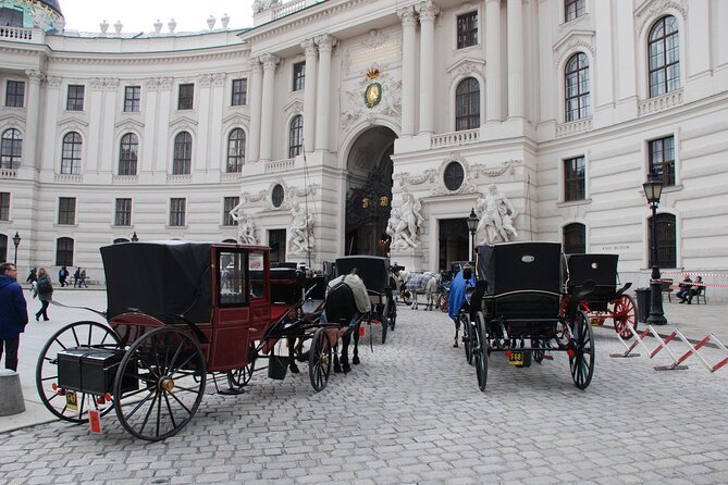 Vienna Private Walking Tour With A Professional Guide - St. Peter’s Church and the Second Cathedral-Adjacency Moment