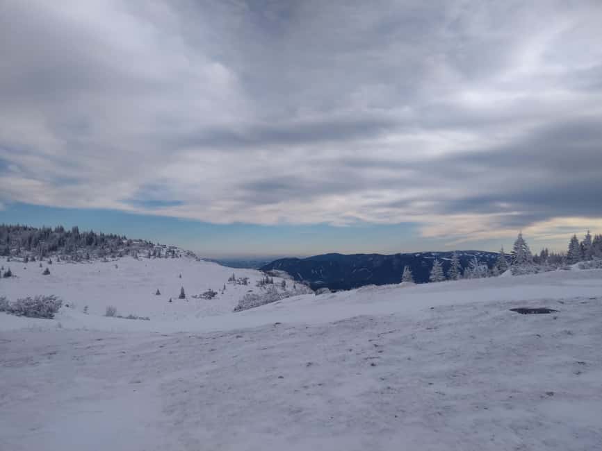 Vienna: Relaxed Alpine Snowshoe Experience Guide & Transfer - Key things to know before you go