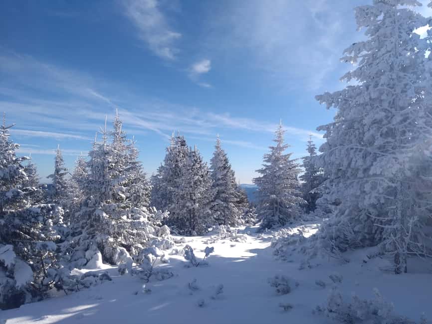 Vienna: Relaxed Alpine Snowshoe Experience Guide & Transfer - From Vienna Hauptbahnhof to the Rax, with minimal fuss