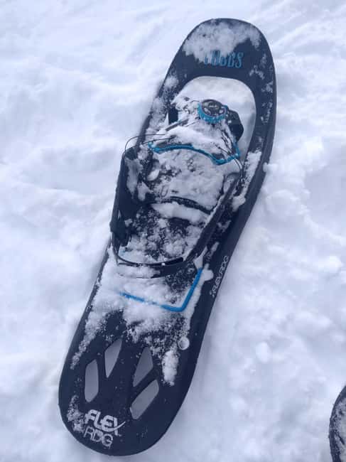 Vienna: Relaxed Alpine Snowshoe Experience Guide & Transfer - Who this snowshoe day is best for