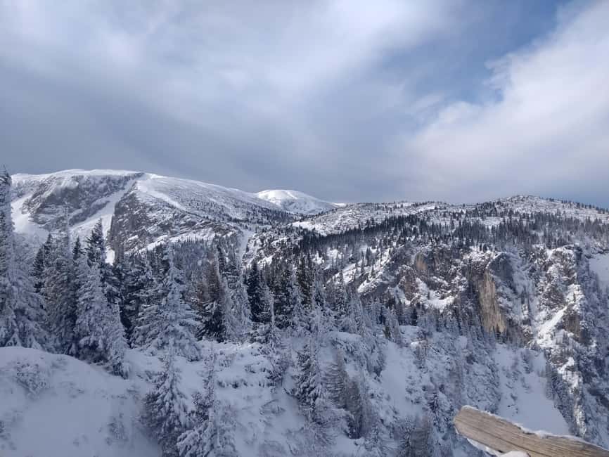 Vienna: Relaxed Alpine Snowshoe Experience Guide & Transfer - The cable car jump, then winter trails that feel doable
