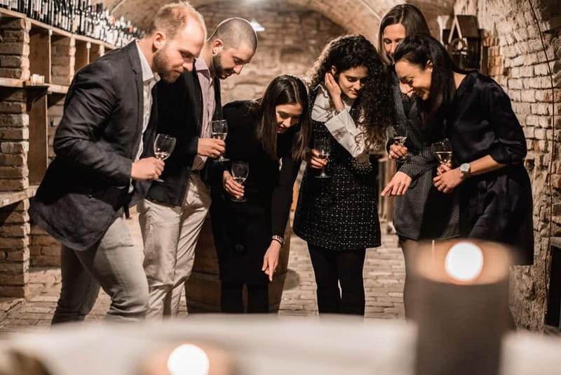 Vienna: Romain Wine Cellar Self-Guided Tour - What you really get in 30 minutes
