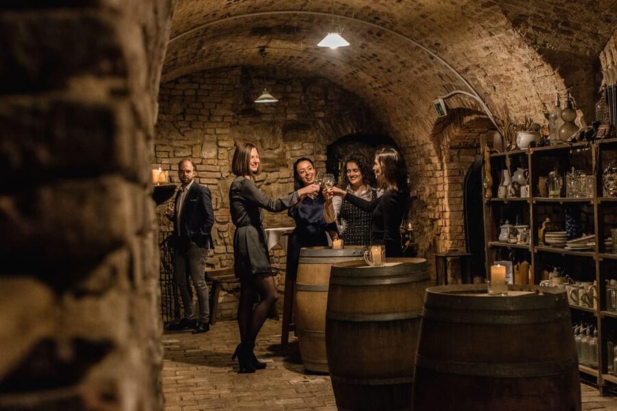 Vienna: Romain Wine Cellar Self-Guided Tour - Who this tour suits, and who might want to skip it