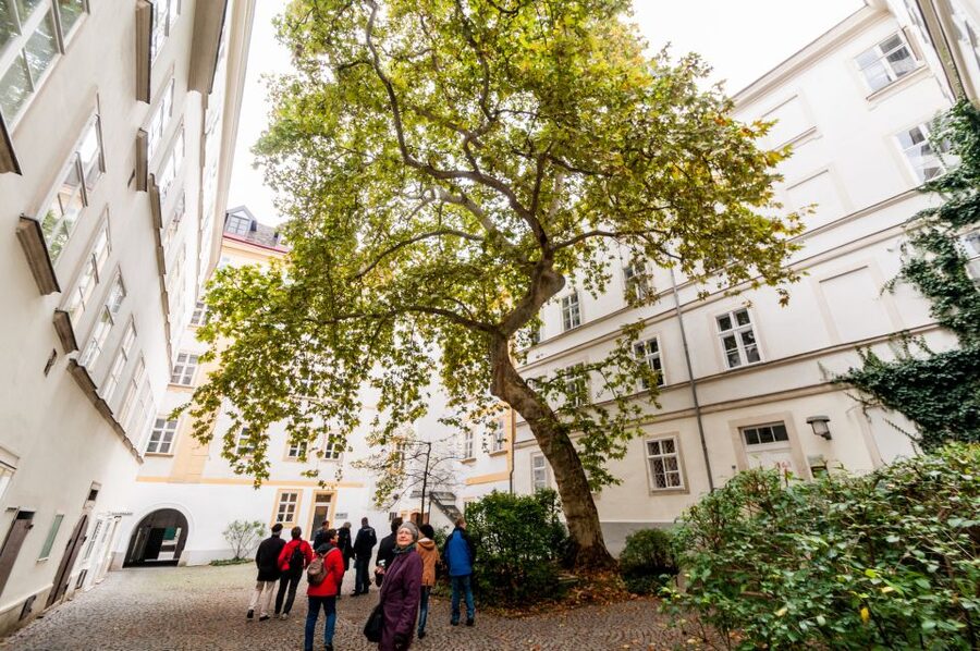 Vienna: Romantic Old Town 2-Hour Discovery Tour - What makes the private guide format worth it