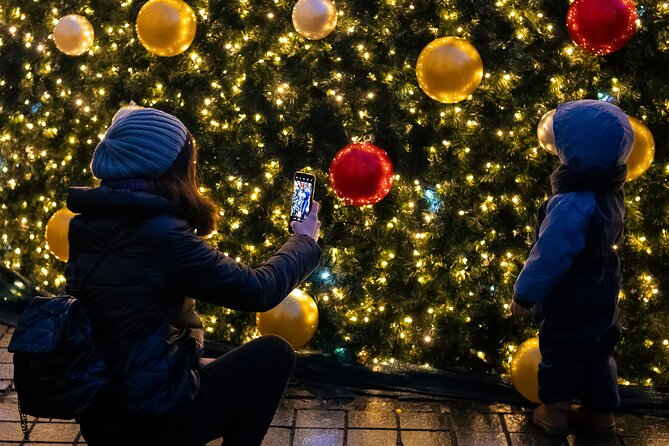 Vienna's Christmas Market Magic Tour - Meeting Point on Rathauspl. 4, and How to Plan Your Evening