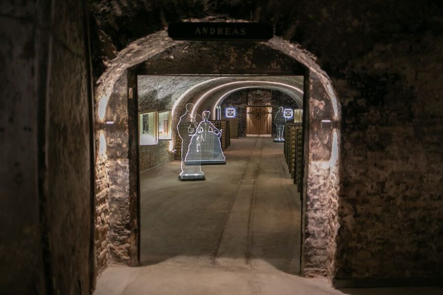 Vienna: Schlumberger Wine Cellar Guided or Self-Guided Tour - What Else You Can Add On Site: Exhibitions and Garden Time