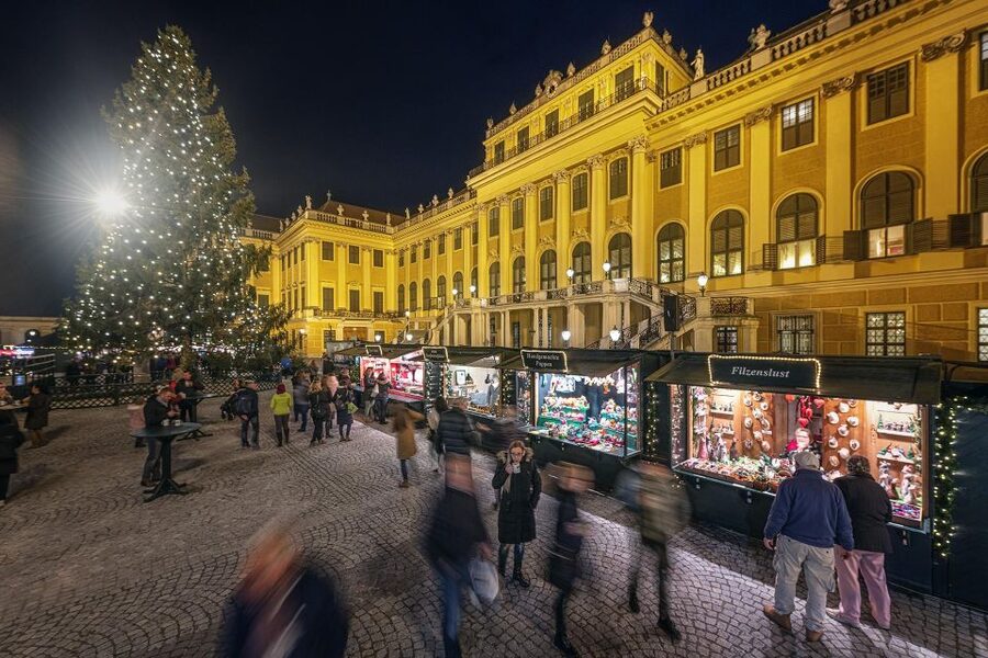 Vienna: Schönbrunn Palace & Christmas Market Walking Tour - What the Christmas Market feels like at Schönbrunn