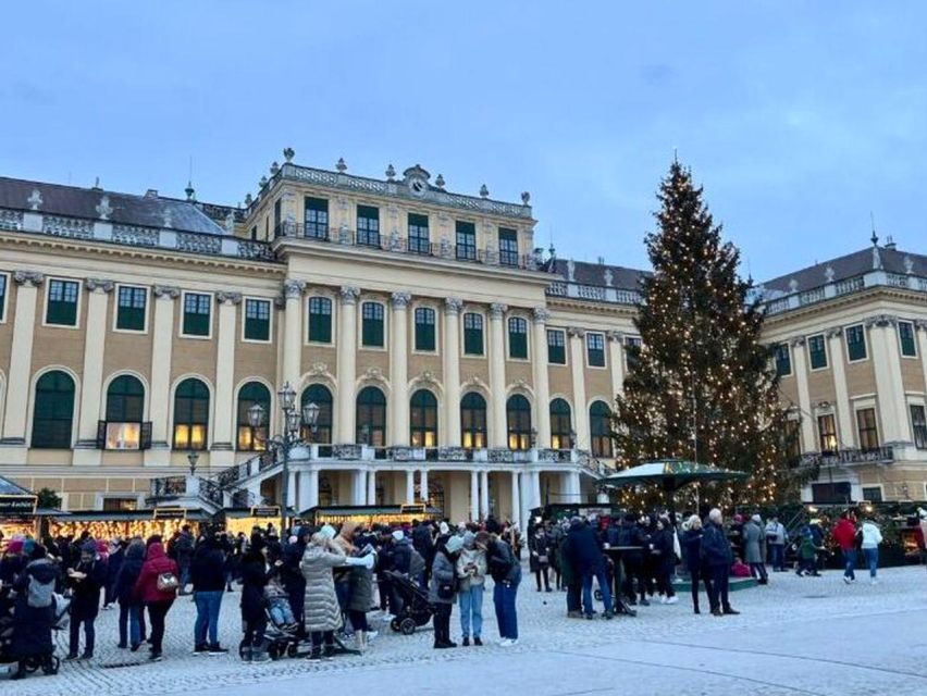 Vienna: Schönbrunn Palace & Christmas Market Walking Tour - Should you book this tour?