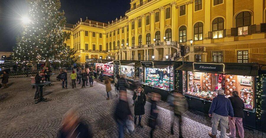 Vienna: Schönbrunn Palace & Christmas Market Walking Tour - The skip-the-line setup and meeting point timing