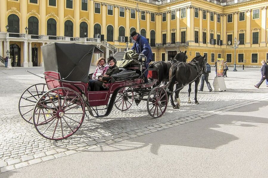 Vienna: Schönbrunn Palace & Gardens Skip-the-Line Tour - Stories of Sissi and court life, told with a practical sense of humor