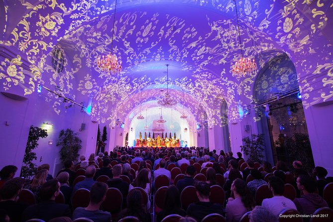 Vienna: Schönbrunn Palace Tour at 7 PM & Classical Concert - Meeting at 6:45 PM: Where You Get the Ticket and How to Avoid Getting Stuck