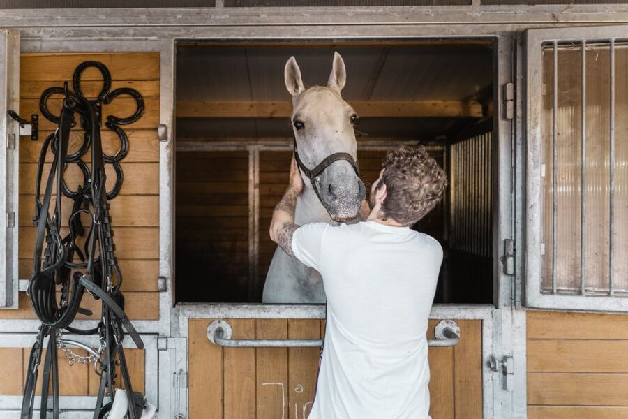 Vienna: Secrets of the Fiaker & Horse-Drawn Carriage Ride - Key things you will notice on the Fiaker stable plus carriage ride
