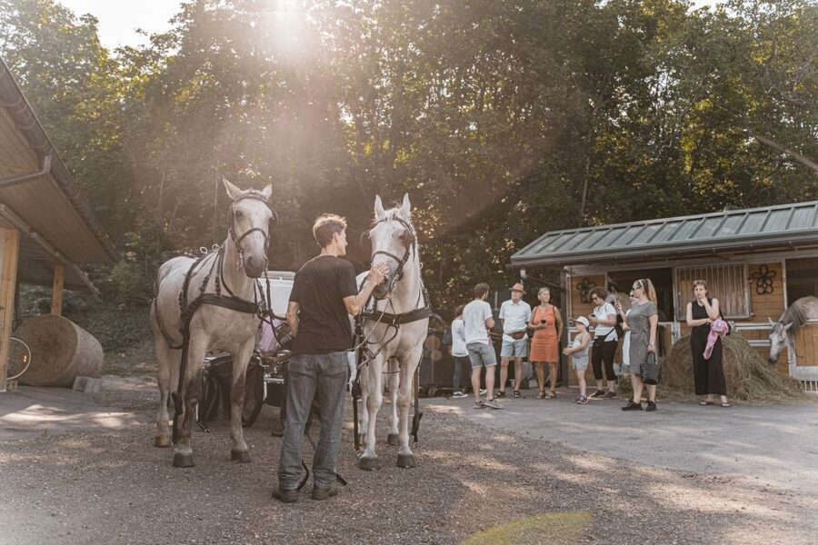 Vienna: Secrets of the Fiaker & Horse-Drawn Carriage Ride - Price, value, and how this compares to a typical carriage ride