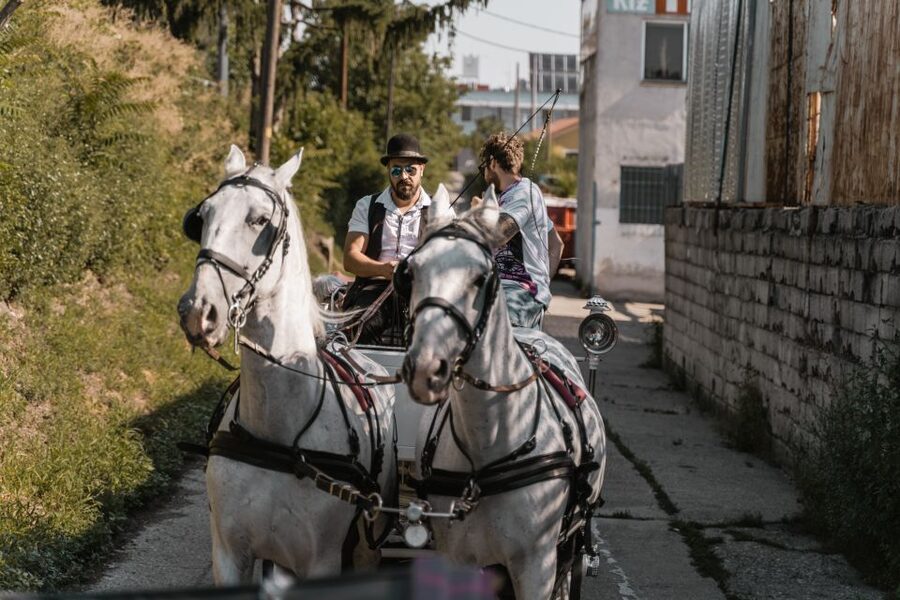 Vienna: Secrets of the Fiaker & Horse-Drawn Carriage Ride - Who should book this Fiaker stable plus carriage ride