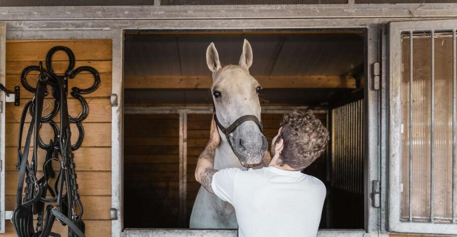 Vienna: Secrets of the Fiaker & Horse-Drawn Carriage Ride - Inside the original Fiaker stable: what the 30 minutes really gives you