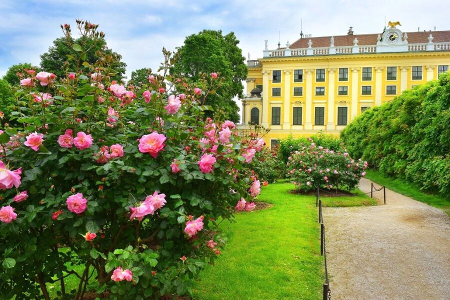 Vienna: Skip-the-Line Schonbrunn Palace Private Tour - Which option should you pick: 2, 2.5, 3, or 3.5 hours