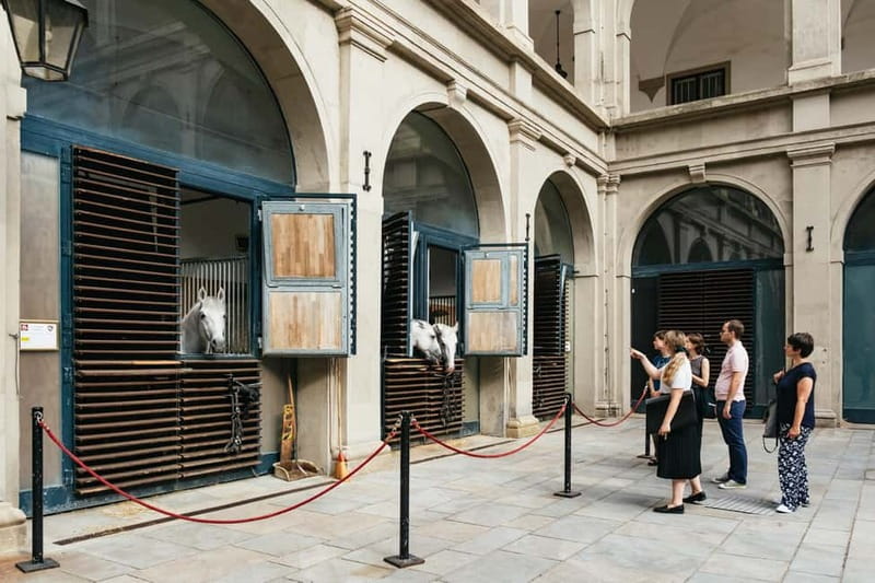 Vienna: Spanish Riding School Guided Architectural Tour - The Winter Riding School, Austrian Late Baroque in Real Life