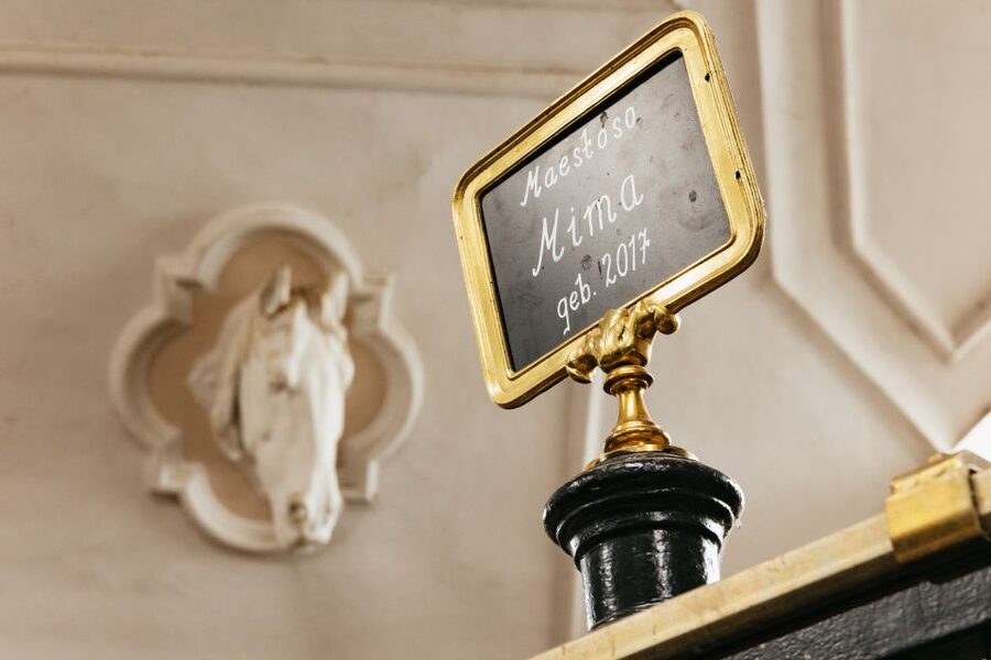 Vienna Spanish Riding School Guided Tour - Stallburg: Renaissance Architecture and the Historic Heart of the Stables