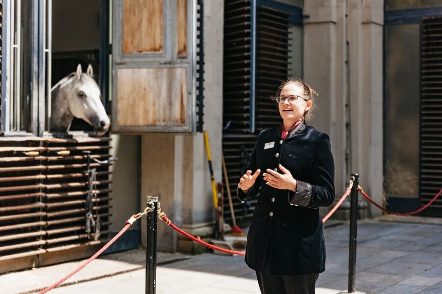 Vienna Spanish Riding School Guided Tour - Tack Room Time: The Equipment Stop That Makes Everything Make Sense