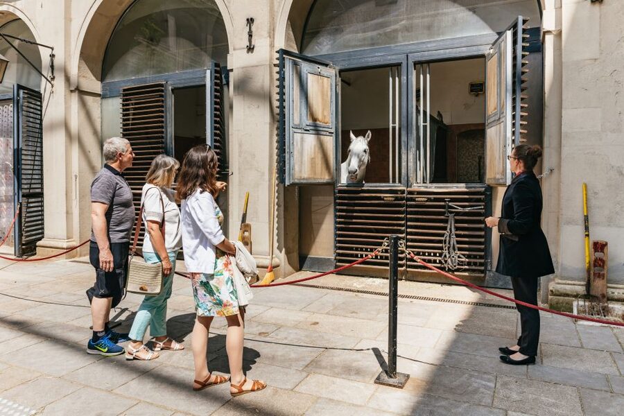 Vienna Spanish Riding School Guided Tour - Guides in Action: What You’ll Learn From People Like Natasha, Sisi, and Inga