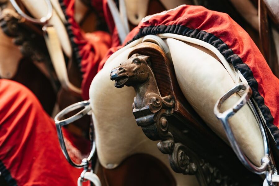 Vienna Spanish Riding School Guided Tour - How Much Can You Expect in 55 Minutes