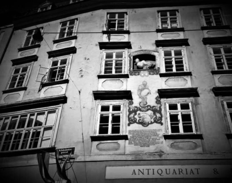 Vienna: Spooky Ghost Tour in English - A 90-Minute Walk Through Vienna’s Dark Side