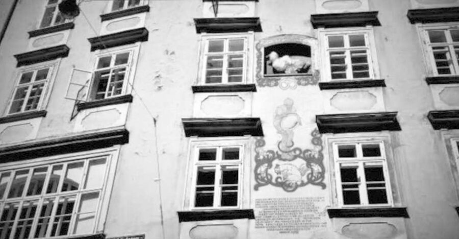 Vienna: Spooky Ghost Tour in English - Historic Center Stops: Cobblestones, Alleys, and the Vienna You Usually Miss