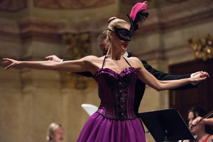Vienna Supreme Orchestra at Palais Niederösterreich - Before the music: your arrival, cloakroom, and meeting point