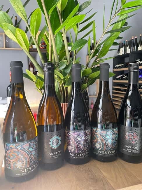 Vienna: Taste Austria the ABCs of Wine - Neusiedler See: sweet wine, fruity reds, and the Pannonian flavor shift