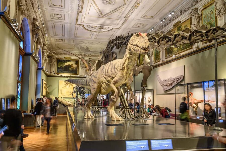Vienna: Ticket to the Museum of Natural History - Key things to know before you go