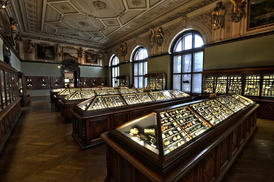 Vienna: Ticket to the Museum of Natural History - Price and time: is $21 worth a day inside?