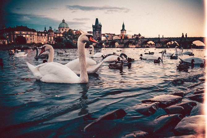 Vienna to Prague - Private Transfer with 2 hours of Sightseeing - Tickets, opening hours, and lunch planning you cannot ignore