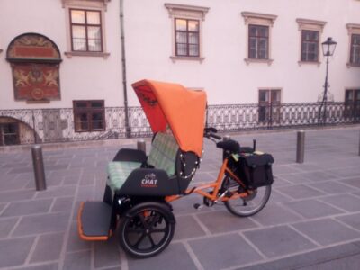 Tour RAXI (electric rickshaw) 3 hours in Vienna