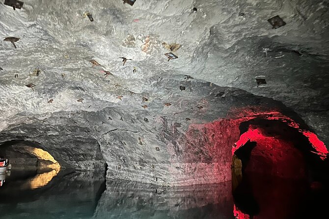 Vienna : Vienna Forest Tour with Underground Lake and Wine Tasting - Seegrotte Hinterbruhl: the underground lake boat ride (and why it feels special)
