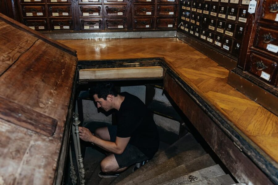 Vienna: Viennese Underworld Guided Walking Tour - The start of the tour: how the guide sets the mood