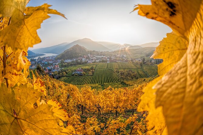 Vienna: Wachau Wonders & Magical Hallstatt Small-Group Day Trip - Key highlights worth planning for
