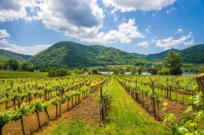 Vienna: Wachau Wonders & Magical Hallstatt Small-Group Day Trip - Traunkirchen photo stop: the short break that keeps the day enjoyable