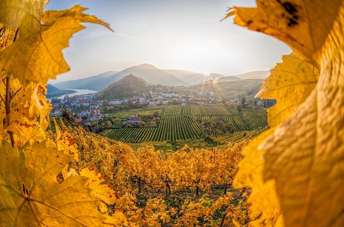 Vienna: Wachau Wonders & Magical Hallstatt Small-Group Day Trip - The driver-guide and English commentary: why it makes the bus ride worth it