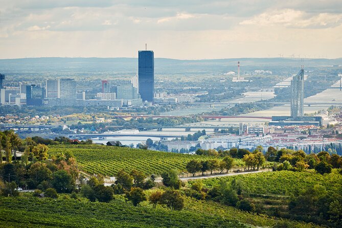 Vienna Wine Experience - If it rains: indoor Heurigen and keeping the vibe