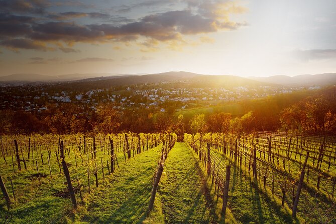 Vienna Wine Experience - Who this tour fits best (and who should think twice)