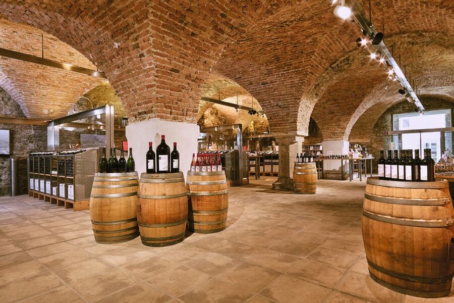 Vienna: Wine Tasting E-Bike Tour - Danube Island finale: a fun end to the day