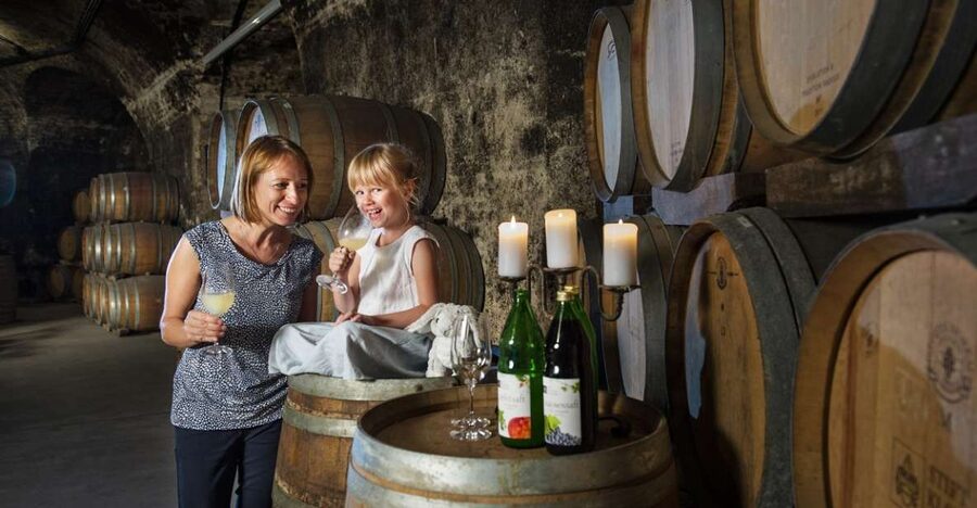 Vienna: Wine Tasting E-Bike Tour - Getting your bearings: how e-bikes change the experience