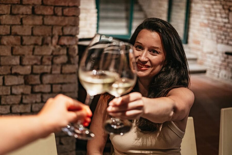 Vienna: Wine Tasting Experience in a Private Wine Cellar - Pairing Austrian Delicacies: Cheese, Cured Meats, Bread, and Spicy Apricot Chutney