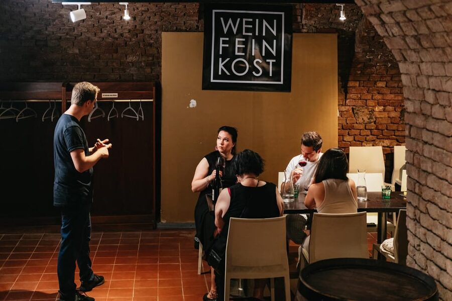 Vienna: Wine Tasting Experience in a Private Wine Cellar - Guides, Group Size, and How Much You’ll Get to Talk