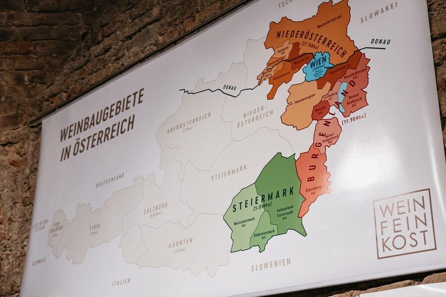Vienna: Wine Tasting Experience in a Private Wine Cellar - Value at $22 per Person, and How to Get the Most