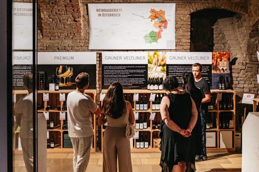Vienna: Wine Tasting Experience in a Private Wine Cellar - Who This Is For, and Who Might Want a Different Plan