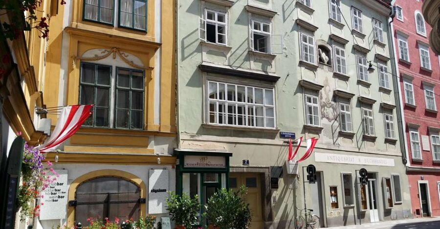 Vienna: Wine Tasting in a 600 year historical wine cellar - Stepping into a private 600-year cellar in the city center