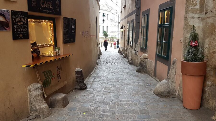 Vienna: Wine Tasting in a 600 year historical wine cellar - The guide factor: conversation beats lecture